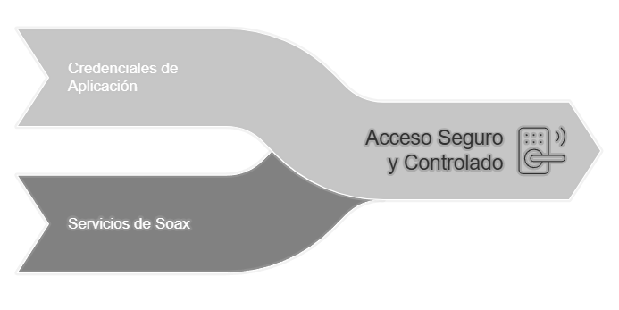 accesoseguro.png